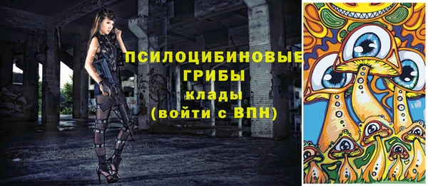 ГАЛЛЮЦИНОГЕННЫЕ ГРИБЫ Новодвинск