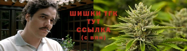 ГАЛЛЮЦИНОГЕННЫЕ ГРИБЫ Нефтекумск