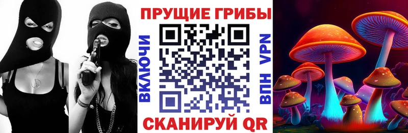 Псилоцибиновые грибы Cubensis Нефтекумск