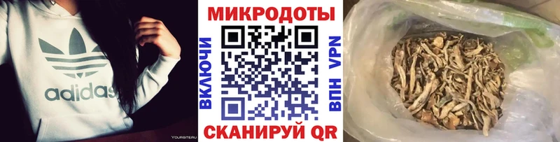 Галлюциногенные грибы мицелий  это как зайти  Нефтекумск  где продают наркотики 
