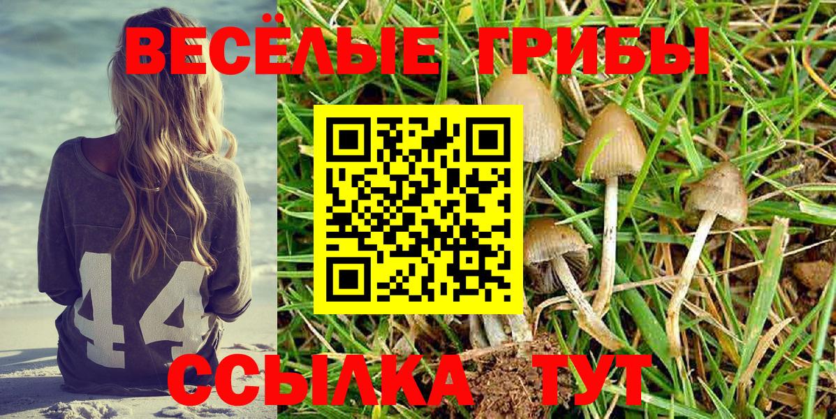 Нефтекумск  Галлюциногенные грибы Psilocybe  Галлюциногенные грибы ЛСД  Вход с VPN 